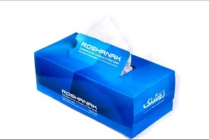 دستمال کاغذی جعبه ای 300 برگ روشنک